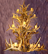 Elk / WhiteTail / Mule Deer Grand Chandelier