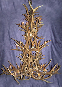 Large Elk / White-tail / Mule Deer Chandelier