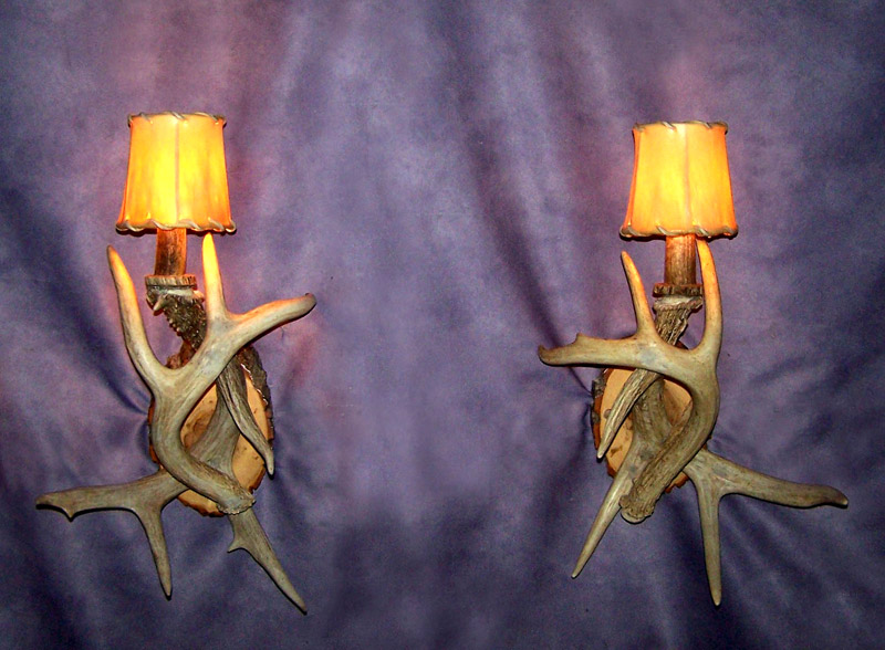 Real Antler 1 light White-tail Deer Sconce with optional shade