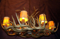 Large White Tail Deer Oblong Chandelier Shown with Optional Shades