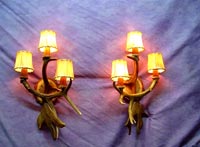 Fallow / White Tail Deer Sconce with optional rawhide shades