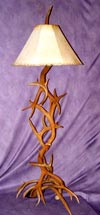 White Tail / Mule Deer Floor Lamp