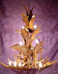 Moose Cascading Chandelier with an optional down light
