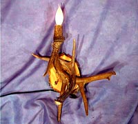 White Tail Deer Sconce