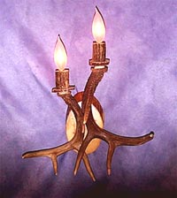 White Tail Deer Sconce