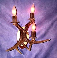White Tail Deer Sconce
