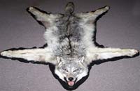 Wolf Rug