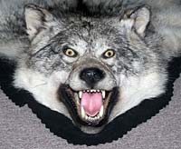 Wolf Rug Front