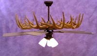 White-Tail/Mule Deer Ceiling Fan Chandelier