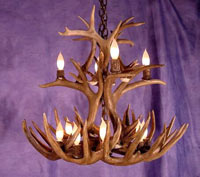 XX-Large White Tail Deer Cascading Chandelier