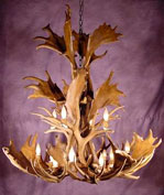 Fallow Deer Antler Chandeliers