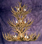 Mule Deer Antler Chandelier