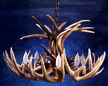 White Tail Deer Antler Chandeliers