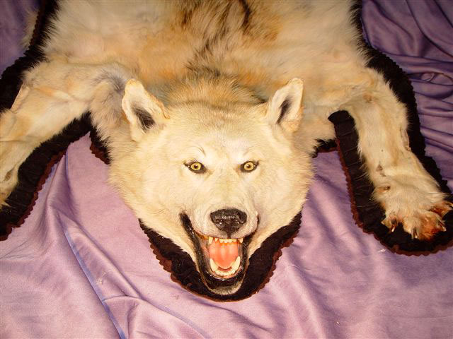 Wolf Rugs