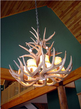 Real Antler White-tail Cascade Chandelier
