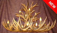 XXL Mule Deer Single Tier Chandelier