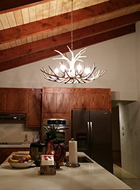 Mule Deer Chandelier