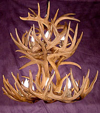 Double Tier White Tail Deer Antler Chandelier