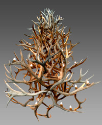 Real Antler Four-Tier Elk / Mule Deer / WhiteTail Chandelier