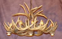 White Tail Oval Chandelier with 3 Downlights