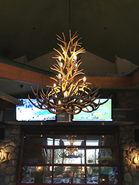 Large White Tail/Mule Deer Chandelier