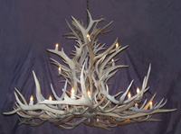 Real Antler Elk / Mule Deer Chandelier