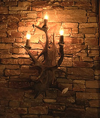 Fallow / Moose / White-tail Sconce