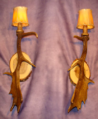 Real Antler Fallow Sconce