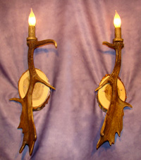 Real Antler Fallow Sconce