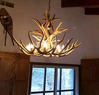 Royal Crown Mule Deer Chandelier