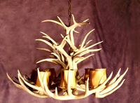 Royal Crown Mule Deer Chandelier