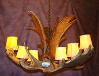 Moose Chandelier