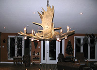 Moose Pool/Dining Table Chandelier