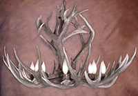 Rocky Mountain Mule Deer Chandelier