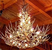 Reproduction Appalachian White-tail & Mule Deer Chandelier RL-35