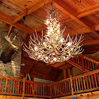 Mule Deer Glacier Chandelier