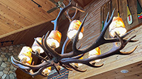 Moose Pool/Dining Table Chandelier