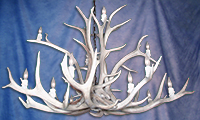 Large Inverted Elk Chandelier