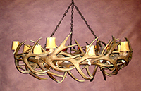 Real Antler Elk & Mule Deer Round Chandelier