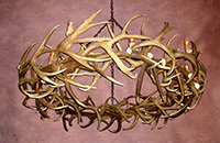 Real Antler Elk & Mule Deer Round Chandelier