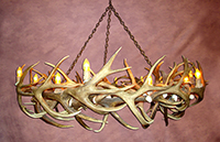 Real Antler Elk & Mule Deer Round Chandelier