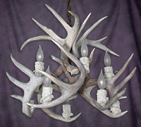 Large White Tail Deer Inverted Chandelier