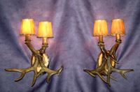Should be “Real Antler 2 Light White Tail Deer Sconce