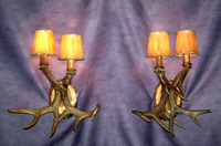 Should be “Real Antler 2 Light White Tail Deer Sconce