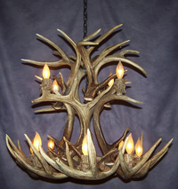 Double Tier White Tail Deer Antler Chandelier