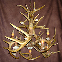 White-tail Inverted Cascade Chandelier.
