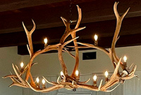 Yosemite Elk Chandelier ELKYSM