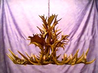 Elk / Fallow / Mule Deer Dining Room  / Pool Table Chandelier