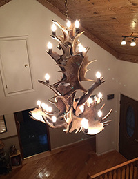 Mule Deer Cascade Chandelier