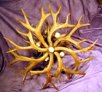 Mule Deer Chandelier